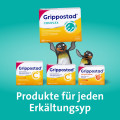 GRIPPOSTAD Complex ASS / Pseudoephedrinhydrochlorid mit Orangenaroma